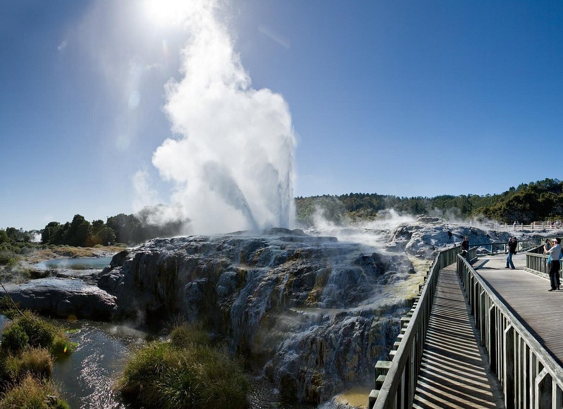 Private Tour to Rotorua